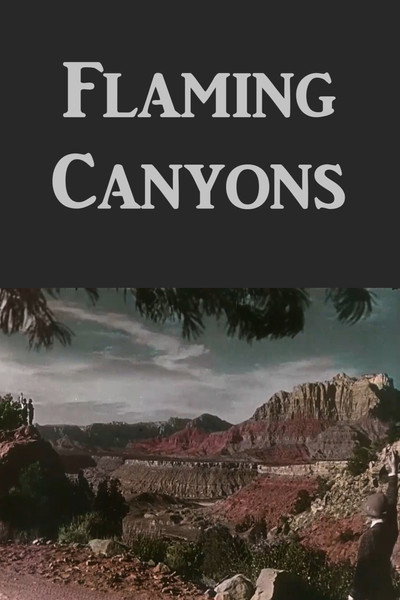 Póster de Flaming Canyons