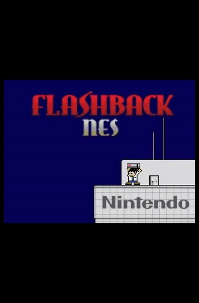 Póster de Flashback NES Documentary