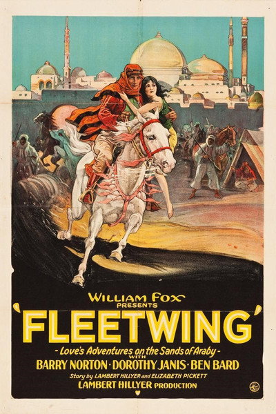 Póster de Fleetwing