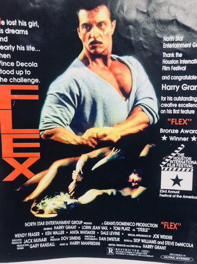 Póster de Flex