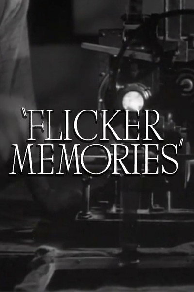 Póster de Flicker Memories