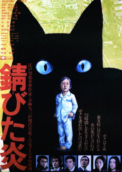 Póster de Flickering Flames