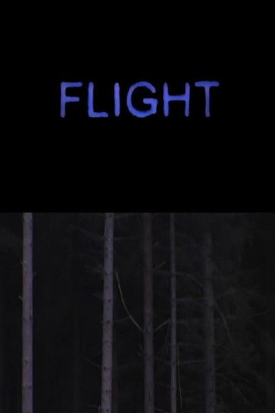 Póster de Flight