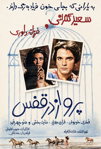 Póster de Flight in the Cage