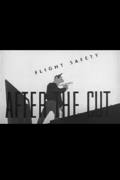 Póster de Flight Safety: After the Cut