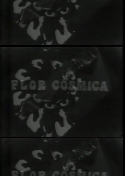 Póster de Flor cosmica