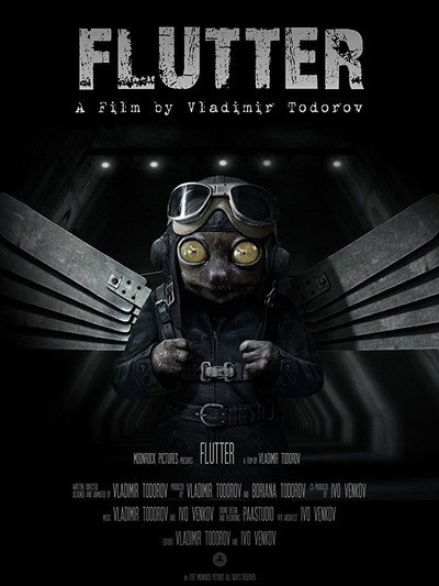 Póster de Flutter