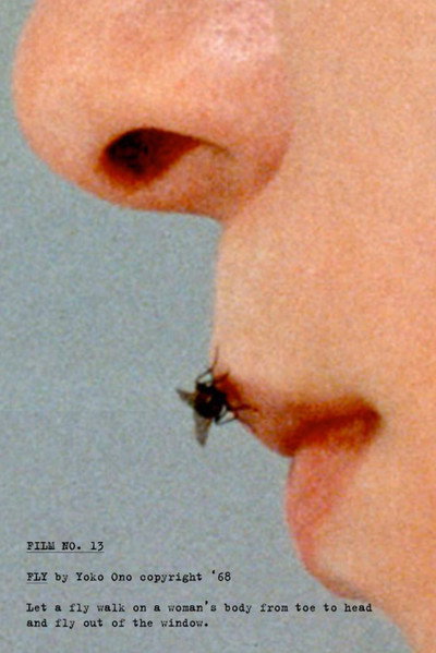 Póster de Fly