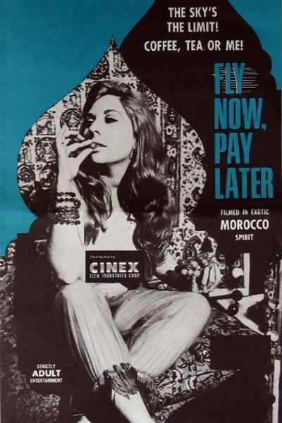 Póster de Fly Now, Pay Later