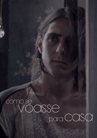 Póster de Flying Home