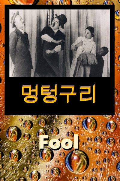 Póster de Fool