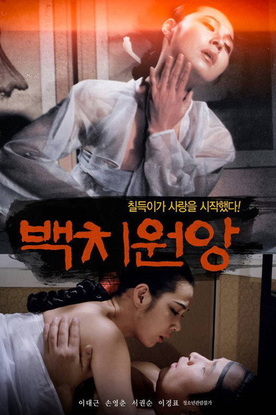 Póster de Foolish Lovebirds