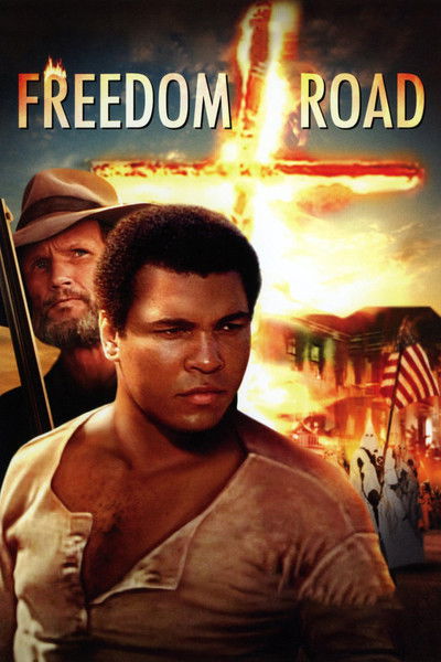 Póster de Freedom Road