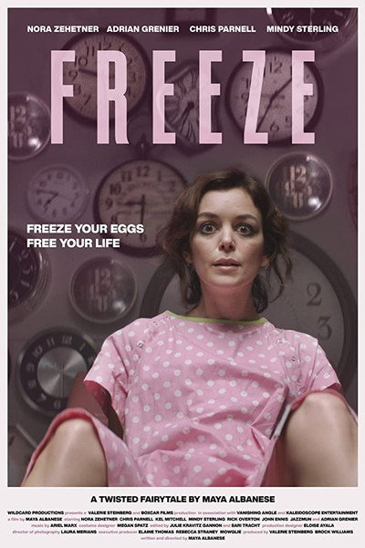 Póster de Freeze