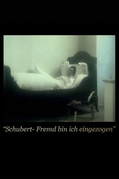 Póster de Fremd bin ich eingezogen