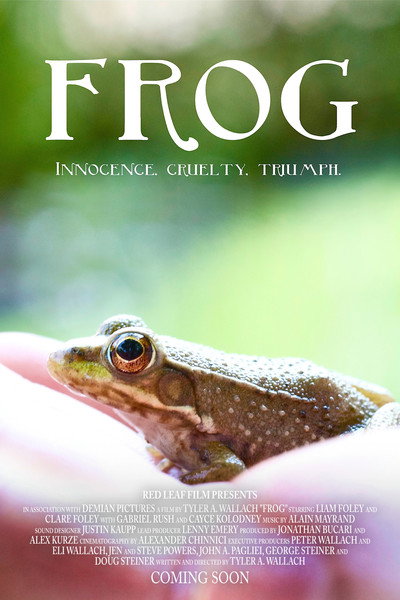 Póster de Frog