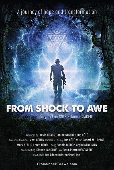 Póster de From Shock to Awe