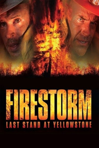 Póster de Fuego contra fuego