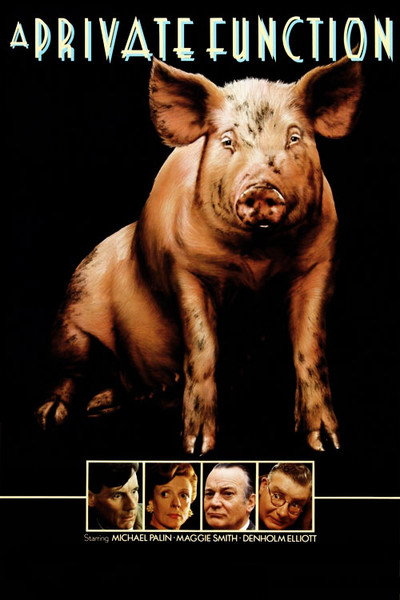 Póster de Función privada