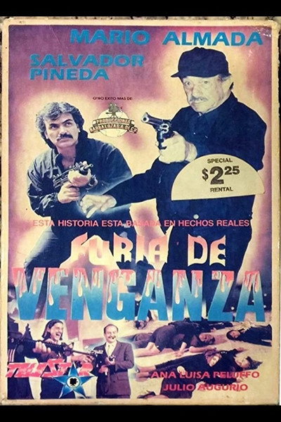 Póster de Furia de venganza