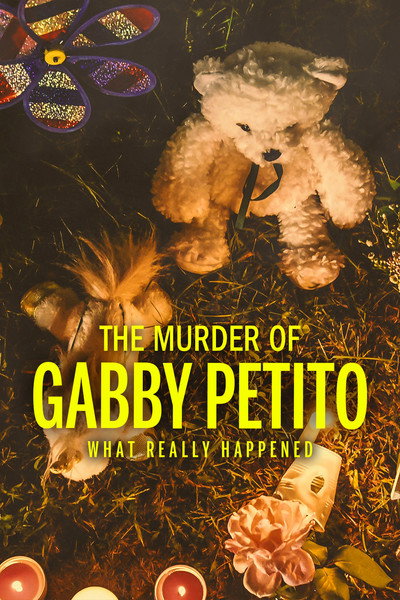Póster de Gaby Petito: toda la verdad