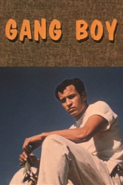 Póster de Gang Boy