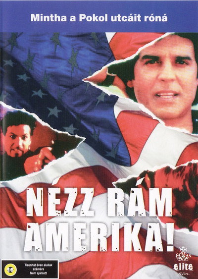 Póster de Gang Justice