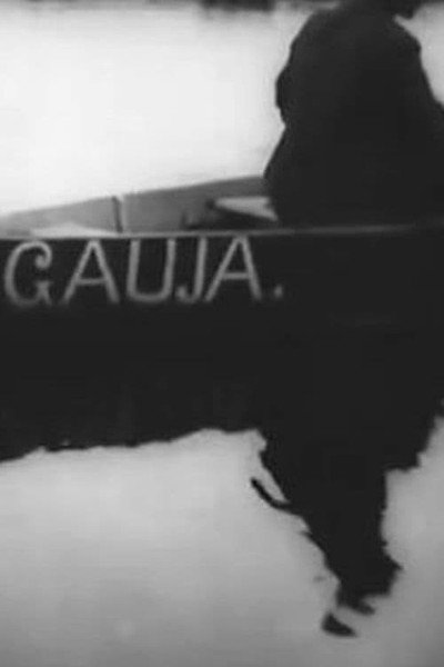 Póster de Gauja