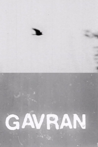 Póster de Gavran