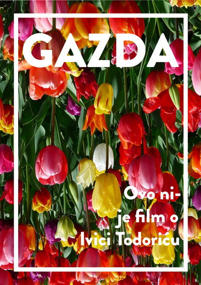 Póster de Gazda