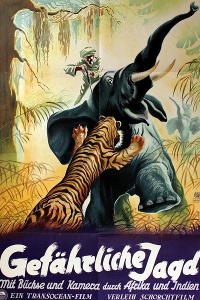 Póster de Gefährliche Jagd