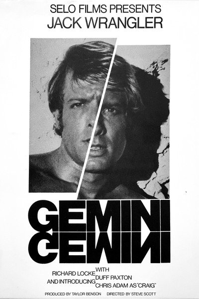 Póster de Gemini