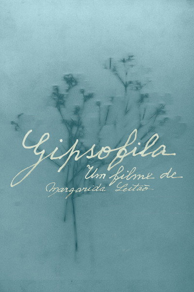 Póster de Gipsofila