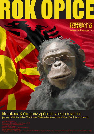 Póster de Godina majmuna