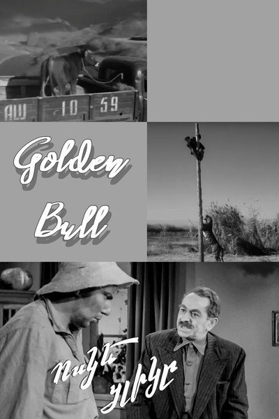 Póster de Golden Bull Calf