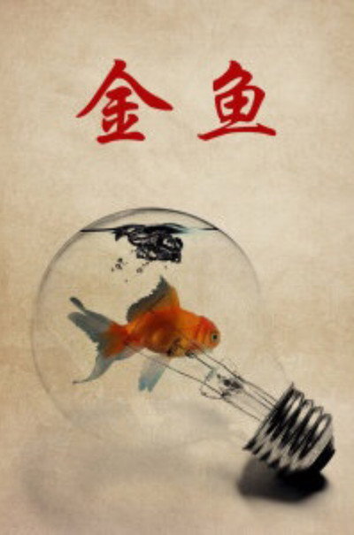 Póster de Goldfish