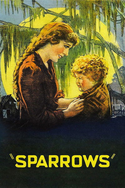 Póster de Gorriones