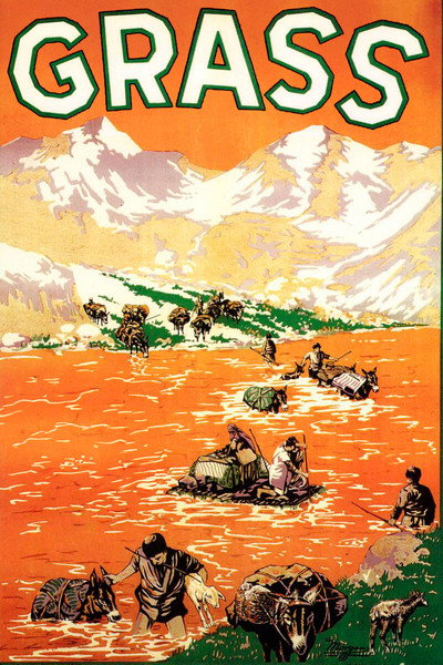 Póster de Grass: A Nation's Battle for Life