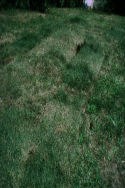Póster de Grass Breathing