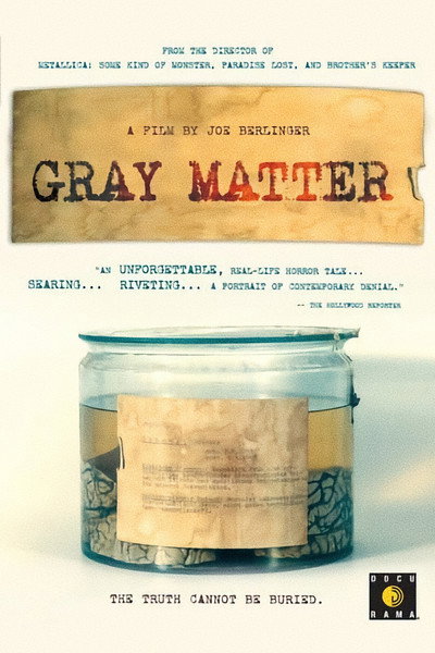 Póster de Gray Matter