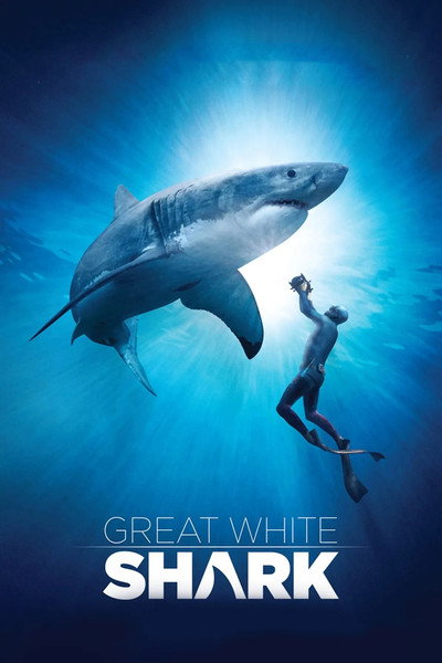 Póster de Great White Shark