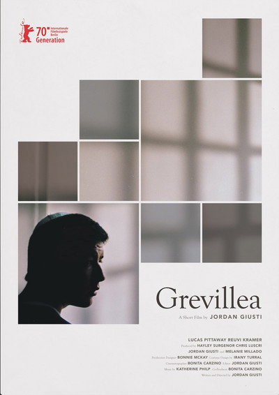Póster de Grevillea
