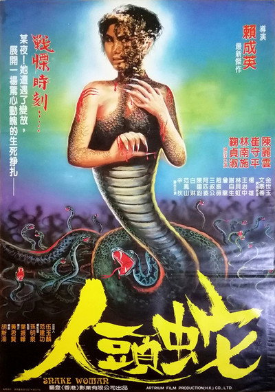 Póster de Grudge of the Sleepwalking Woman