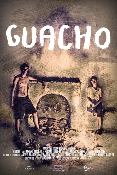 Póster de Guacho