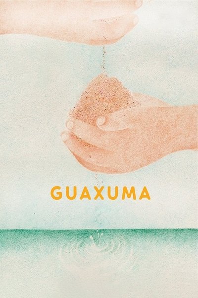 Póster de Guaxuma