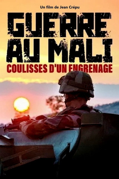 Póster de Guerre au Mali : coulisses d'un engrenage