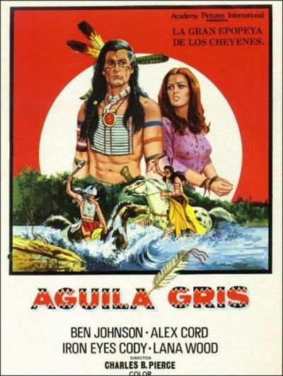 Póster de Águila Gris