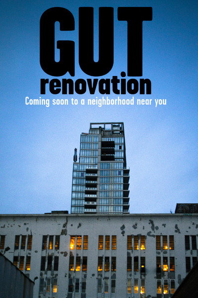 Póster de Gut Renovation