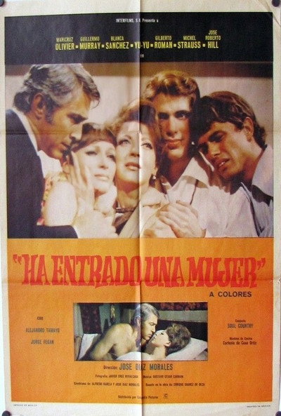 Póster de Ha entrado una mujer