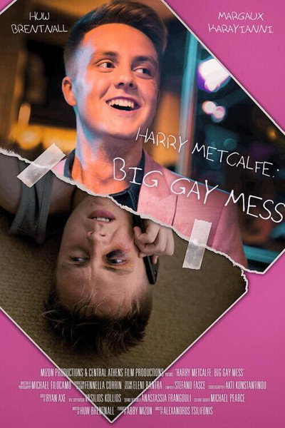 Póster de Harry Metcalfe: Big Gay Mess